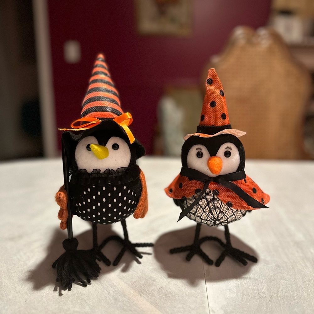 Autumn orange and black birds